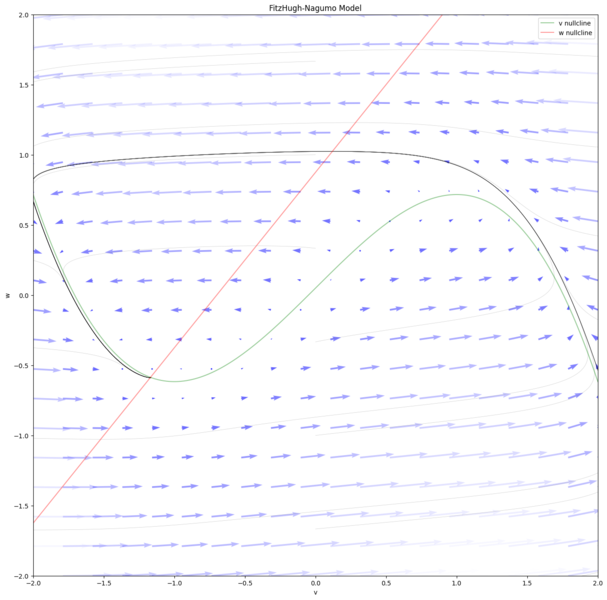 File:FitzHugh-Nagumo Model.png