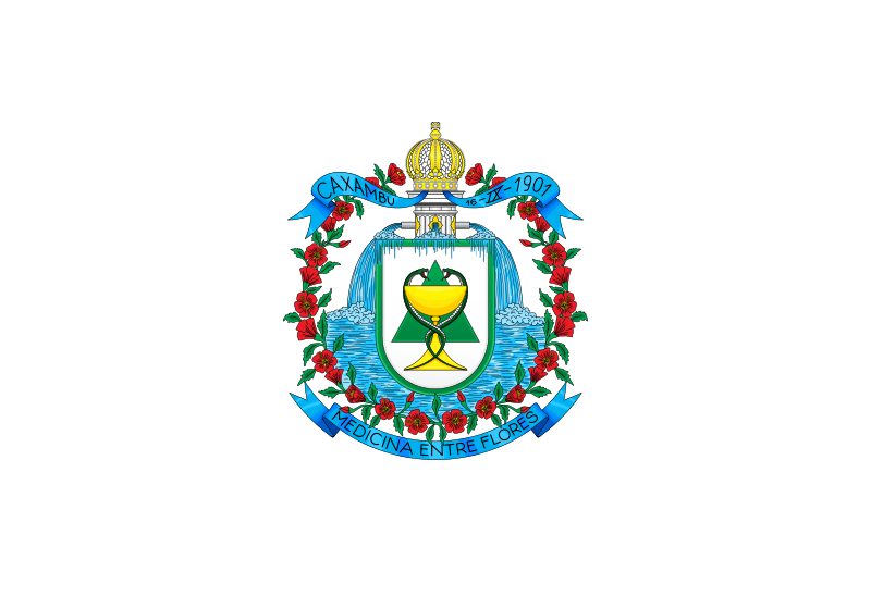 File:Flag of Caxambu.svg