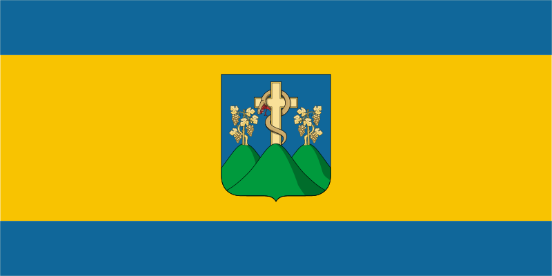 File:Flag of Tokaj.svg