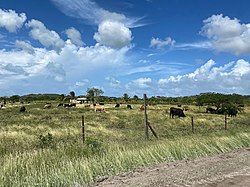 A farm in Ebenezer, on the road towards Creekside and Golden Grove