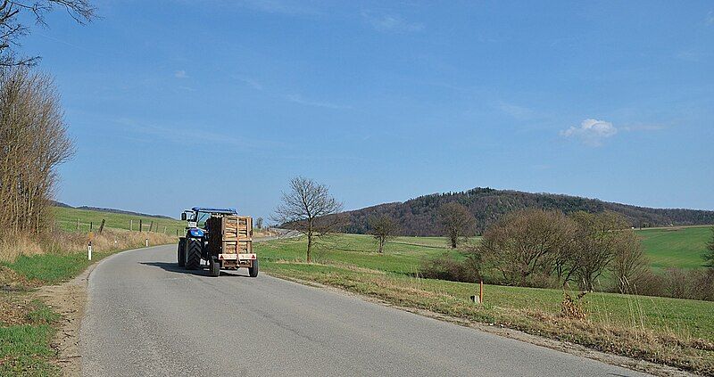 File:Großer Buchkogel, Wienerwald.jpg