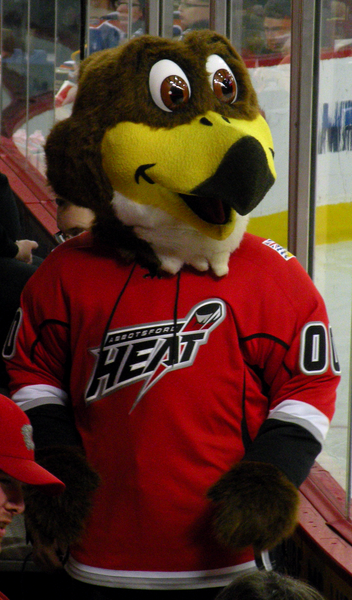 File:Hawkey Heat.png