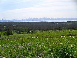 View from Diamond Ridge on the Homestead Trail, showing Kachemak Bay and the Kenai Mountains