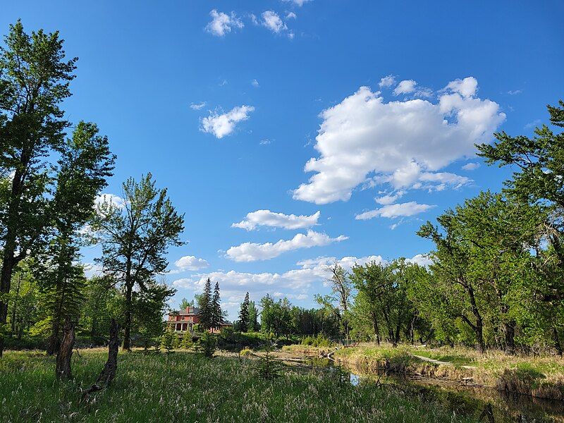 File:Inglewood Bird Sanctuary.jpg