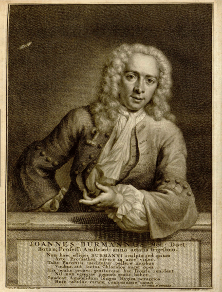 File:Johannes Burman.png