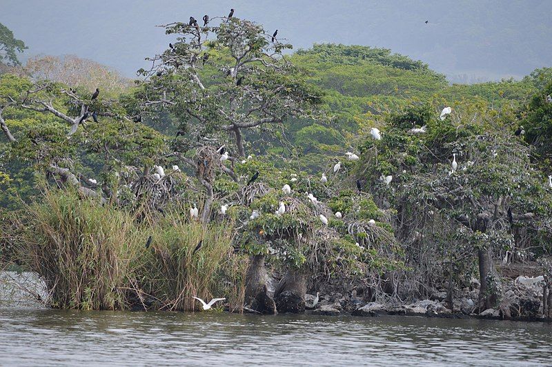 File:Lake Catemaco23.JPG