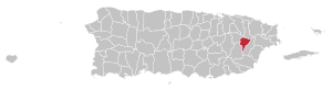 Map of Puerto Rico highlighting Juncos Municipality