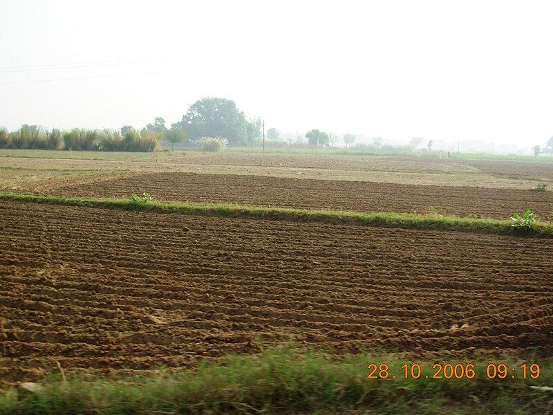 File:Mousampur17.JPG