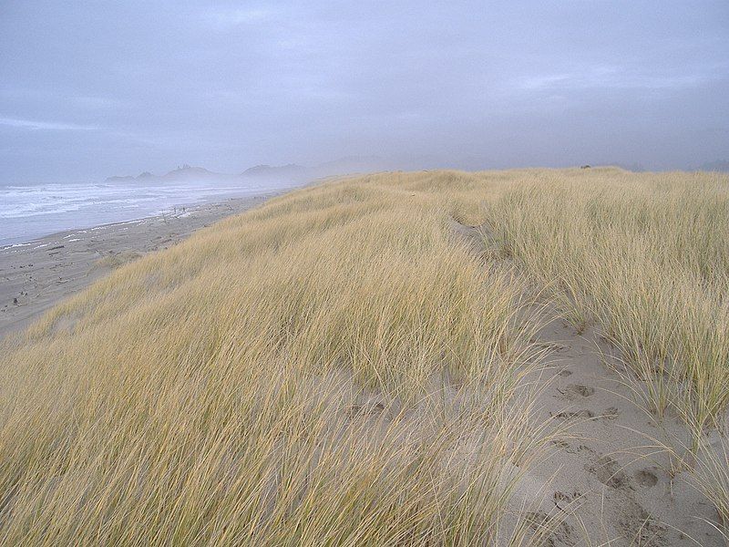 File:Nestucca Sand Spit.jpg