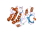 2c30: CRYSTAL STRUCTURE OF THE HUMAN P21-ACTIVATED KINASE 6