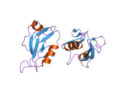 2i0l: X-ray crystal structure of Sap97 PDZ2 bound to the C-terminal peptide of HPV18 E6.