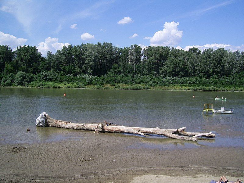 File:Sandbank Csongrad.JPG