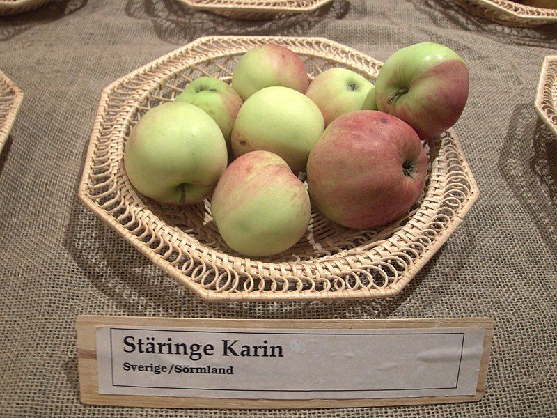 File:Stäringe Karin.jpg