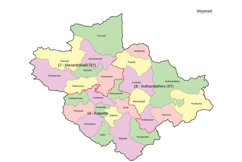 File:Wayanad-district-map-en.svg