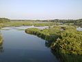 Nature reserve near Tetiiv