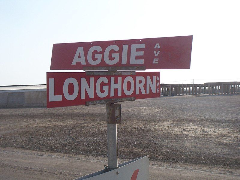 File:Aggie Longhorn.JPG