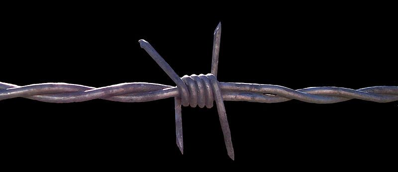 File:Barbed wire.jpg