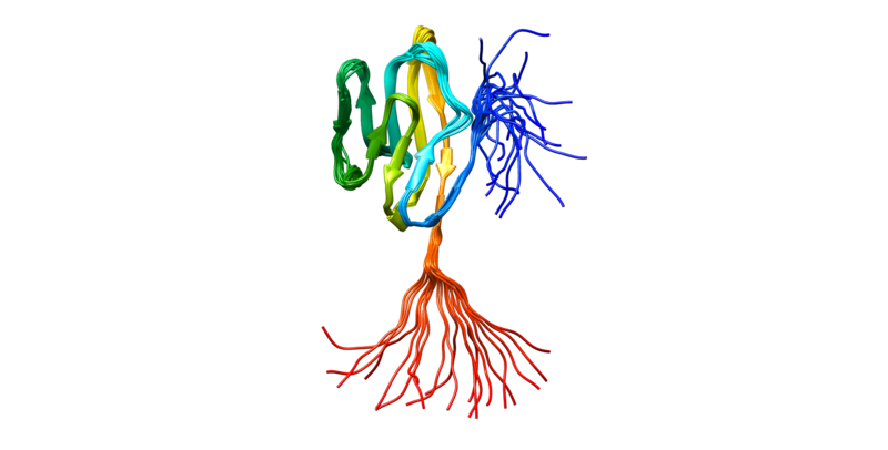 File:CD48 protein.png