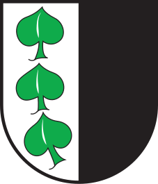 File:CHE Scharans COA.svg