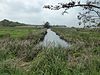 Carlton and Oulton Marshes