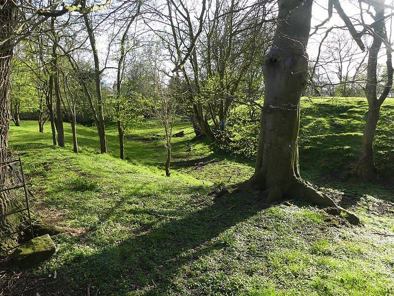 File:Dodleston Castle.jpg