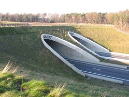 Wildlife crossing Ecoduct Kikbeek