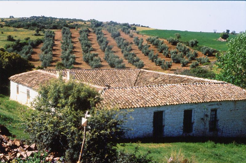 File:Finca SierraMorena.jpg