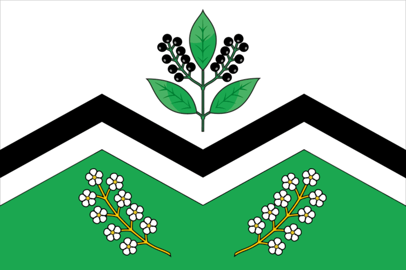 File:Flag of Moshkovo.png