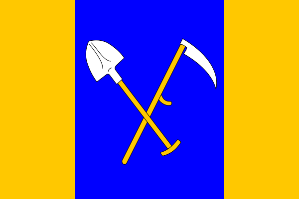 File:Flag of Navsi.svg