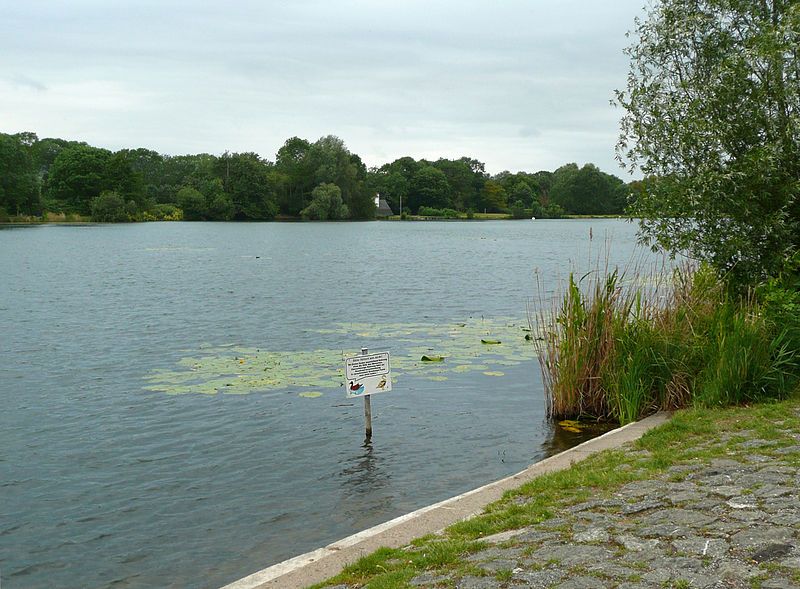 File:Hohnsensee Hildesheim.jpg