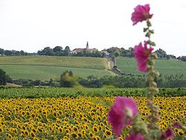 A general view of Lagraulet-du-Gers