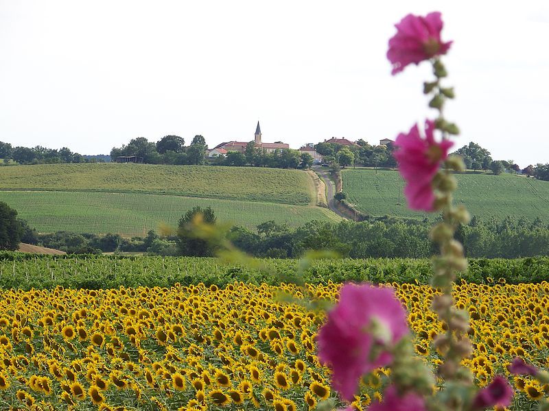 File:Lagraulet-du-Gers1.jpg