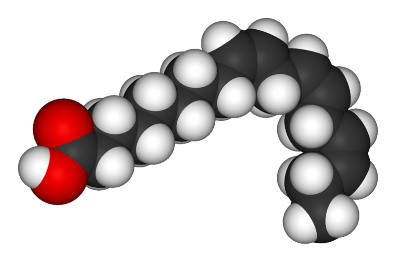 File:Linolenic-acid-3D-vdW.png