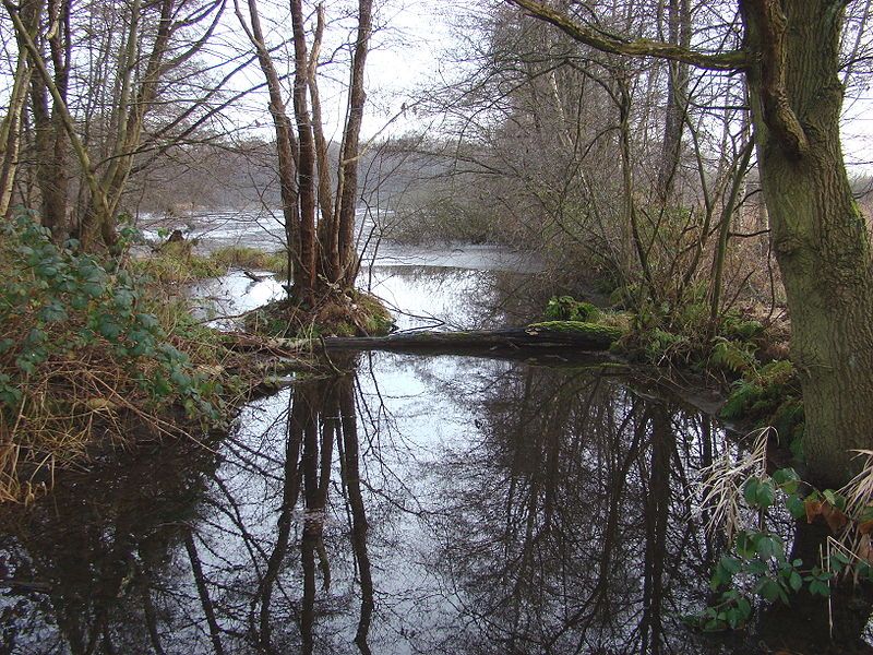 File:MeißendfTeich1.JPG