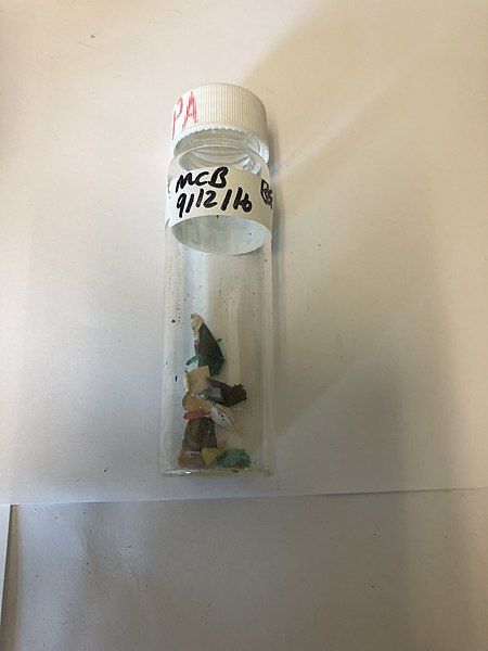 File:Microplastic sample .jpg