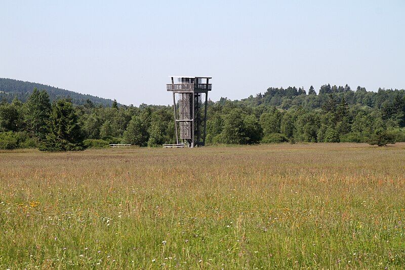 File:Rhoen-Schwarzes Moor-04-Aussichtsturm-2019-gje.jpg