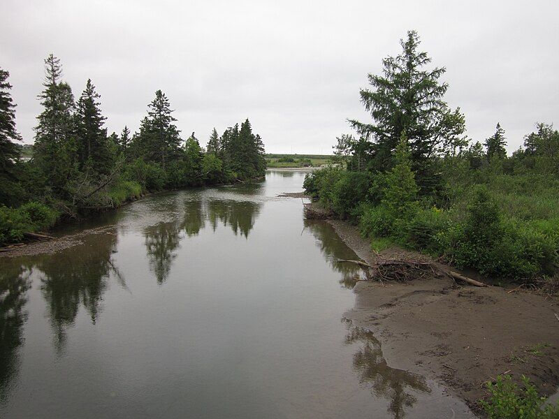 File:Rivière Bonaventure 01.JPG