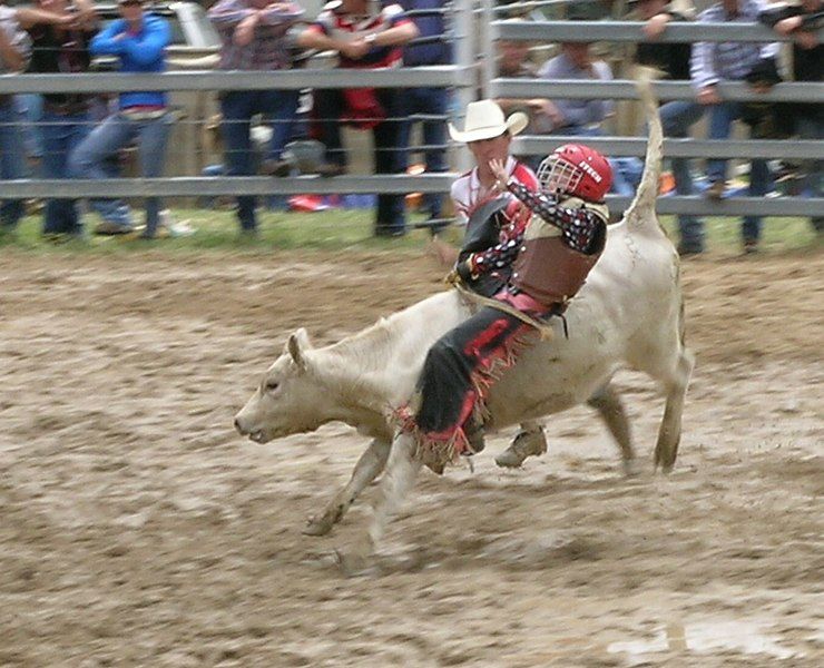 File:Rodeo clown.JPG