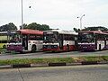 Scania N113s (AC Exterior), SBS Transit