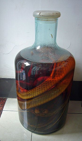 File:Snakewine.jpg