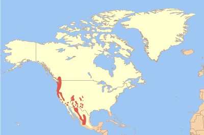 File:Strix occidentalis map.svg