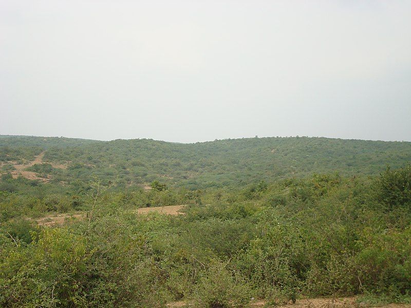 File:Vedadri6.jpg