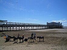 Long walkway supported by metal legs arising from the sand, leading to a white painted building. In the foreground are donkeys on sand.