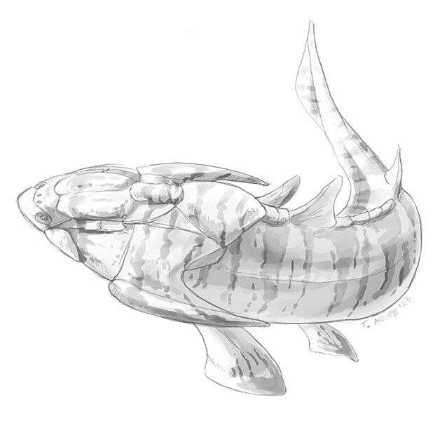 File:Xiushanosteus.jpg