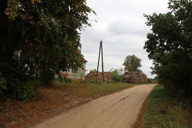 File:2015-09 Górki 05.jpg