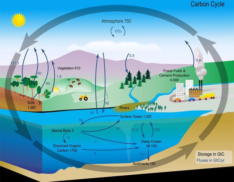 File:Carbon cycle NASA.jpg