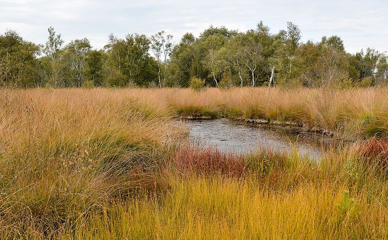 File:De-Groote-Pleen-Landschaft-2015-01.jpg