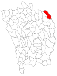 Location in Vaslui County