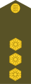 Leitnant (Estonian Land Forces)[30]