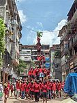 Govinda celebrations during the Krishna Janmaashtami festivities